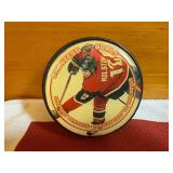 Minnesota Wild Collector Lot - Five Pucks, 2016 Playoff Hanky, Playing Cards