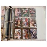 Black Maxx NASCAR Set 1992 (300 cards in a binder)