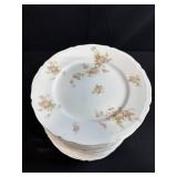 Set of 19 Vienna Floral Porcelain Dinner Plates