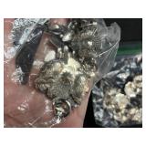 Collection of Western Style Silver Conchos, Buckle, and Belt Parts