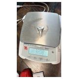 Pure Silver 999 Fine Cast Shark Tooth