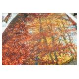 new/like new Fall, Winter, Eagle Themed Curtains.