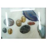 Polished Stones and Sliced Agates in Glass Case