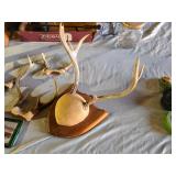 Big Mouth Billy Bass Singing Fish, Antlers, and Various Wildlife Decor Items