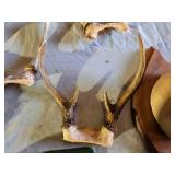 Big Mouth Billy Bass Singing Fish, Antlers, and Various Wildlife Decor Items