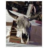 Cow Skull with Horns