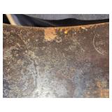 Cow Skull with Horns