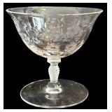 DR - Vintage Fostoria Arcady Etched Floral Glassware - 5 Goblets, 11 Champagne Coupes, 12 Plates, 7 1/4 in tall