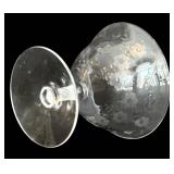 DR - Vintage Fostoria Arcady Etched Floral Glassware - 5 Goblets, 11 Champagne Coupes, 12 Plates, 7 1/4 in tall