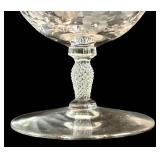 DR - Vintage Fostoria Arcady Etched Floral Glassware - 5 Goblets, 11 Champagne Coupes, 12 Plates, 7 1/4 in tall
