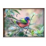 LR - Pat Gerlach Bird Print - Colorful Rainbow Bird on Branch