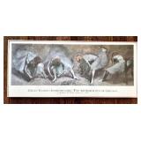 O - Degas: Beyond Impressionism Poster - The Art Institute of Chicago