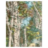 Wallace Nutting Hand-Colored Platinotype Photo Pair