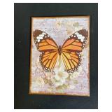 Butterfly Wall Art & Vintage Decor Lot - 7 Pieces: Frames, Poster Tube, Parasol, Letter Board