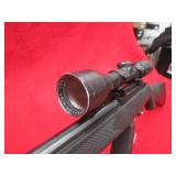 Ruger 10/22 .22LR Rifle w/Bushnell Scope
