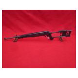 Ruger 10/22 22LR Rifle