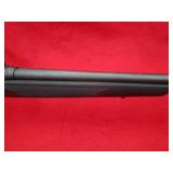 Savage Arms 10 243Win Rifle