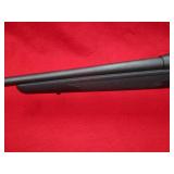 Savage Arms 10 243Win Rifle