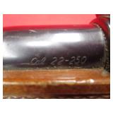 Interarms Mark X 22-250 Rifle