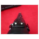 Israel Weapon Industries Desert Eagle 40S&W Pistol