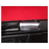 Israel Weapon Industries Desert Eagle 40S&W Pistol