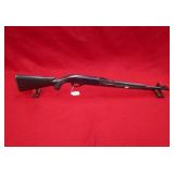 Remington Arms Nylon 66 22LR Rifle