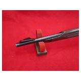 Remington Arms Nylon 66 22LR Rifle