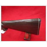 Remington Arms Nylon 66 22LR Rifle