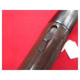 Remington Arms Nylon 66 22LR Rifle