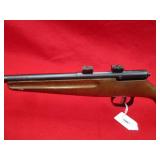 Savage Arms Rascal 22LR Rifle