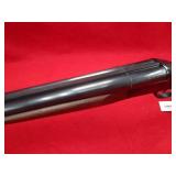 Stoeger 12ga Coach Gun
