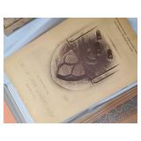 Vintage Cookbooks Collection - Assorted 1950s-60s Recipe Books