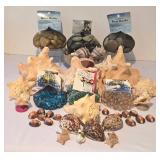 LL-FR - Coastal Seashells & River Rocks Lot - Pink Conch, 7-Inch Bowl + Marble Accents