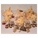 LL-FR - Coastal Seashells & River Rocks Lot - Pink Conch, 7-Inch Bowl + Marble Accents