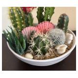 LR - Succulents and Cactus Bowl Arrangement with Pink & White Rosettes