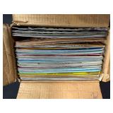 Large Collection of Vintage License Plates from Various States