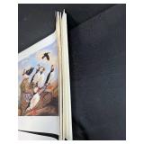 Stack of Puffin Art Prints by Patricia Bourque