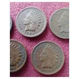 (5) Indian Pennies