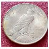 1925 Peace Dollar - Toned