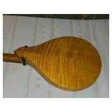 Cittern by Dieter Mockel with Case