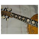 Norwegian Fiddle - Fossegrimen by Hardanger