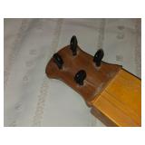 Icelandic Fiddle - Fiola