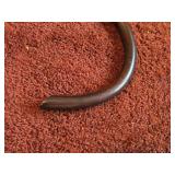 Soprano Crumhorn by Moeck Steinkopf