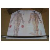 Chinese Chart of Acupuncture Points - 24"x24"