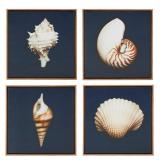 Madison Park Ocean Seashells Wall Art Set - 12"x12"