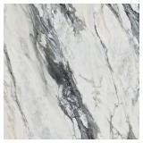 Daltile Lamora Nero Marble 24 in. x 24 in. Matte Porcelain Floor and Wall Tile (378 sq. ft.)