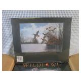 (BS) Case of 8 New Wild Fowl of Nor...