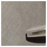 1922 Peace Dollar AU Encaps