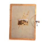 The Coming of the Birds - Elaine Goodale, Illustrated by Alexander Pope (1883)