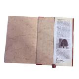 Gates of Grace - Evelina Chao (Warner Books, 1985 First Printing)